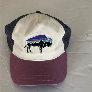 Patagonia Organic Cotton Hat - Black and Gray